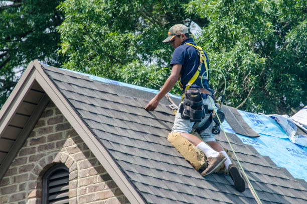 Best Commercial Roof Installation  in Alamosa East, CO